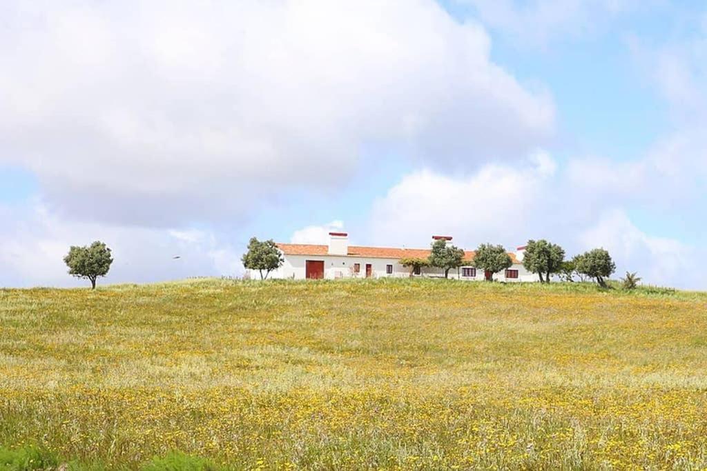 Vila Monte Do Arneiro Sousel Exteriér fotografie