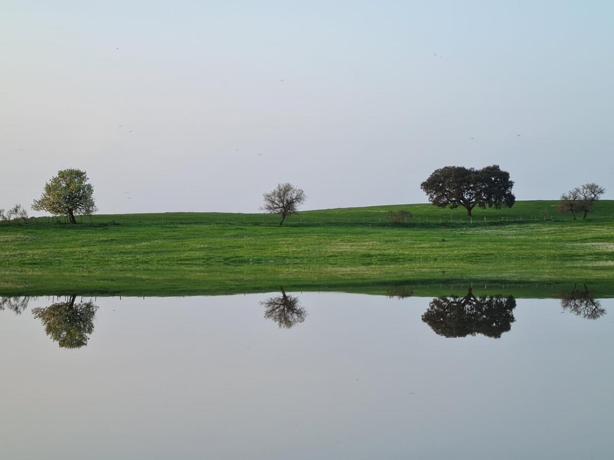 Vila Monte Do Arneiro Sousel Exteriér fotografie