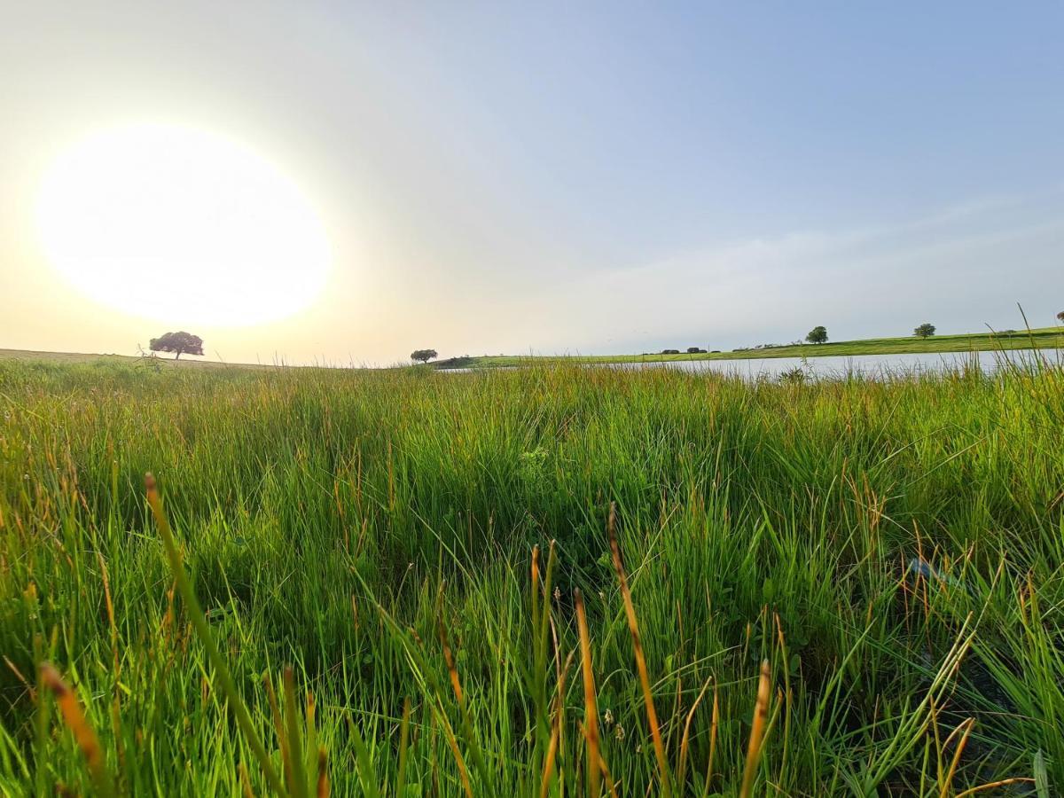 Vila Monte Do Arneiro Sousel Exteriér fotografie