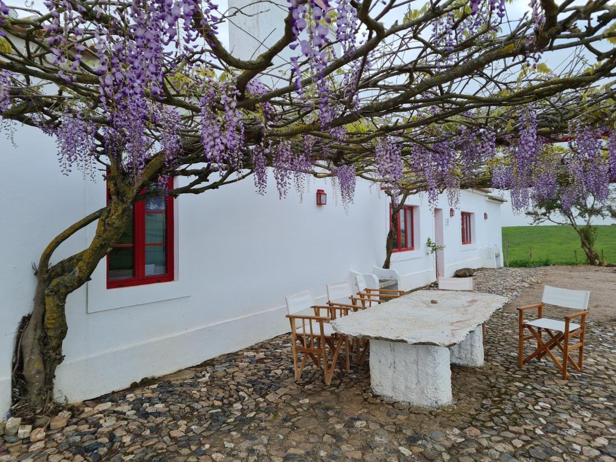 Vila Monte Do Arneiro Sousel Exteriér fotografie
