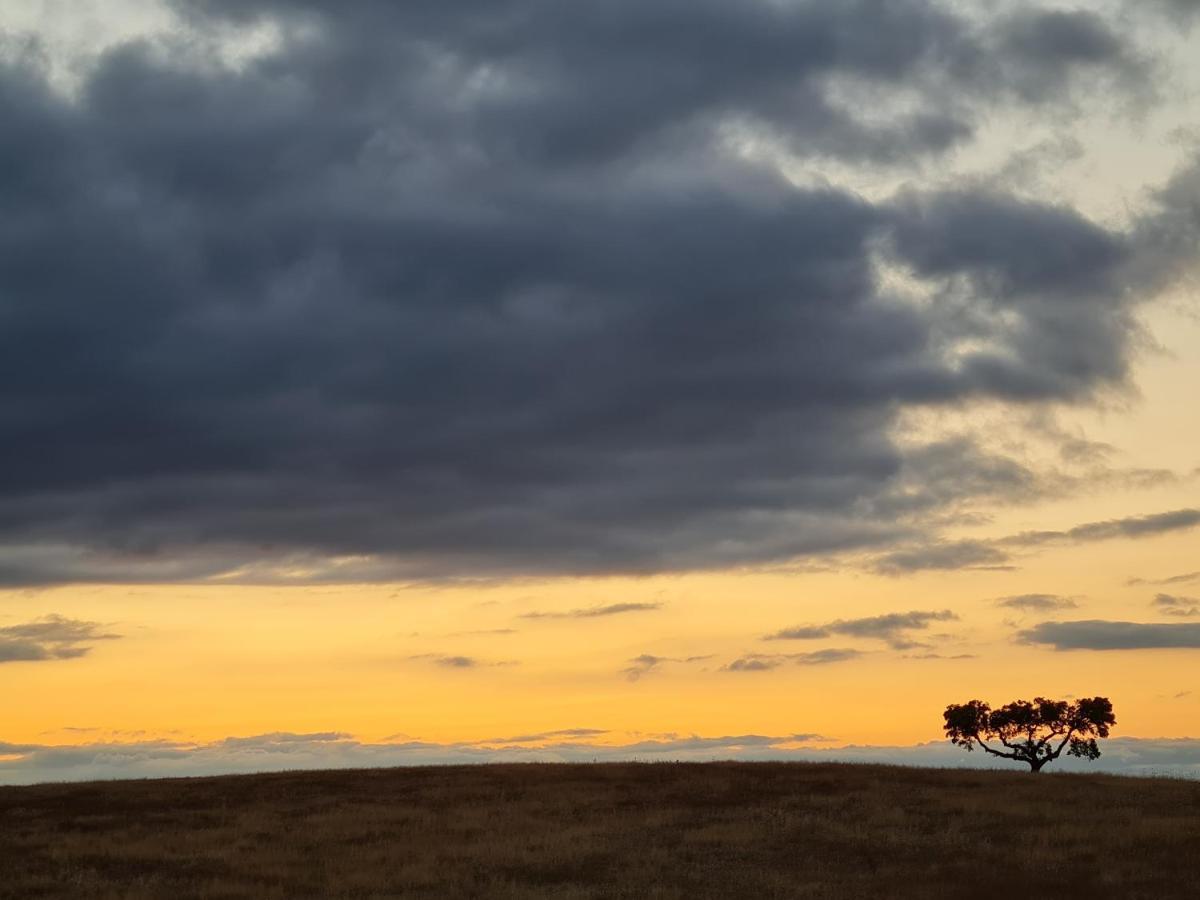 Vila Monte Do Arneiro Sousel Exteriér fotografie