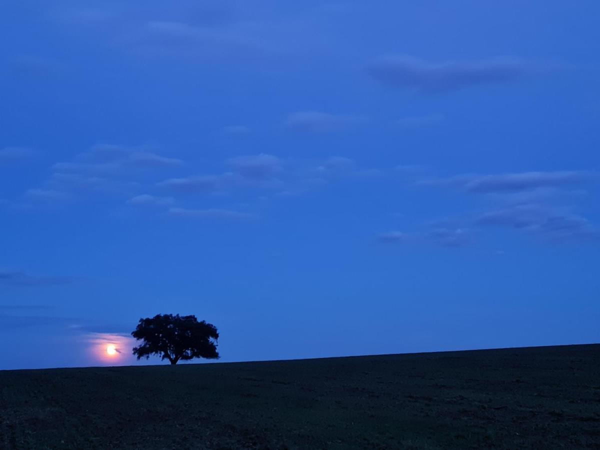 Vila Monte Do Arneiro Sousel Exteriér fotografie