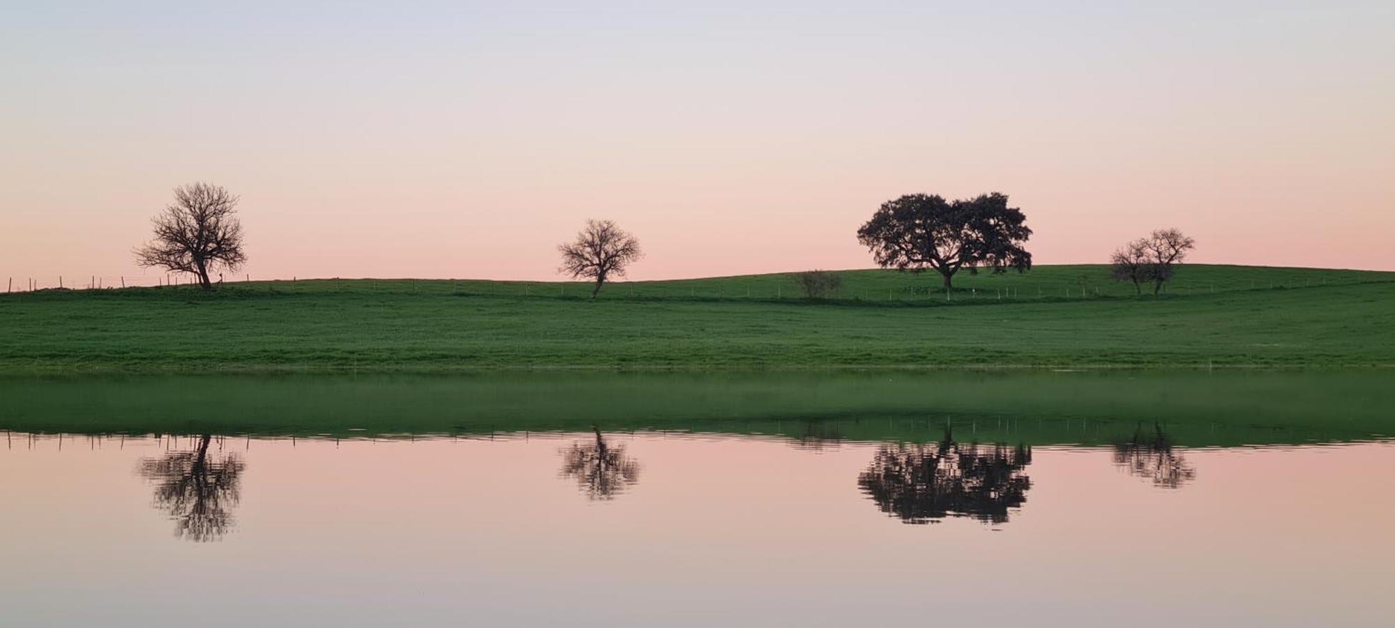 Vila Monte Do Arneiro Sousel Exteriér fotografie